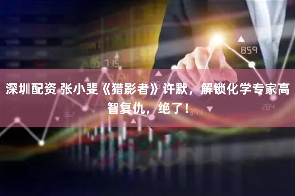 深圳配资 张小斐《猎影者》许默，解锁化学专家高智复仇，绝了！