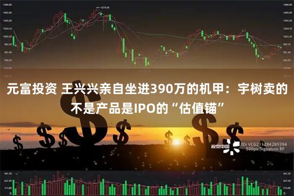 元富投资 王兴兴亲自坐进390万的机甲：宇树卖的不是产品是IPO的“估值锚”